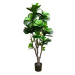 CTF074-GN: 4' FIDDLE LEAF FIG TREE IN POT GREEN