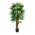 CTR134-GN/TT: 4' RHAPIS TREE GREEN TWO TONE
