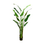 CTB360-GN: 6' BIRD OF PARADISE PLANT IN POT GREEN
