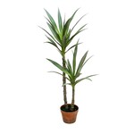 PLT640-GN: 44" YUCCA TREE IN PLASTIC POT GREEN