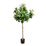 CTL319-YE/GN: 65" LEMON TREE IN POT YELLOW GREEN