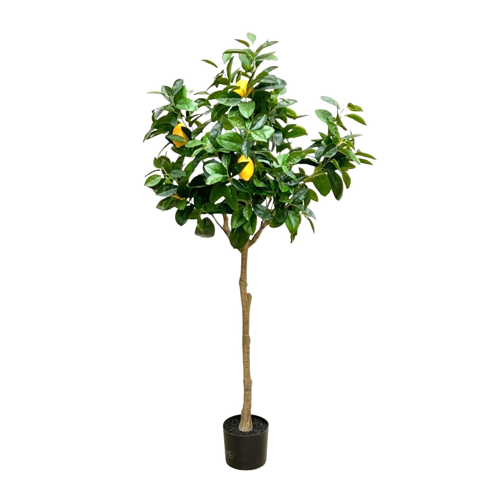 65" LEMON TREE IN POT YELLOW GREEN