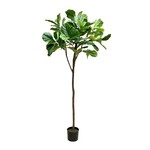 CTF561-GN: 7' FIDDLE LEAF PLANT GREEN