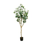 CTL131-GN: 72" LAUREL TREE IN PLASTIC POT GREEN