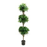 CBT136-GN: 6' TRIPLE  BALL SWEET BAY TOPIARY IN POT GREEN