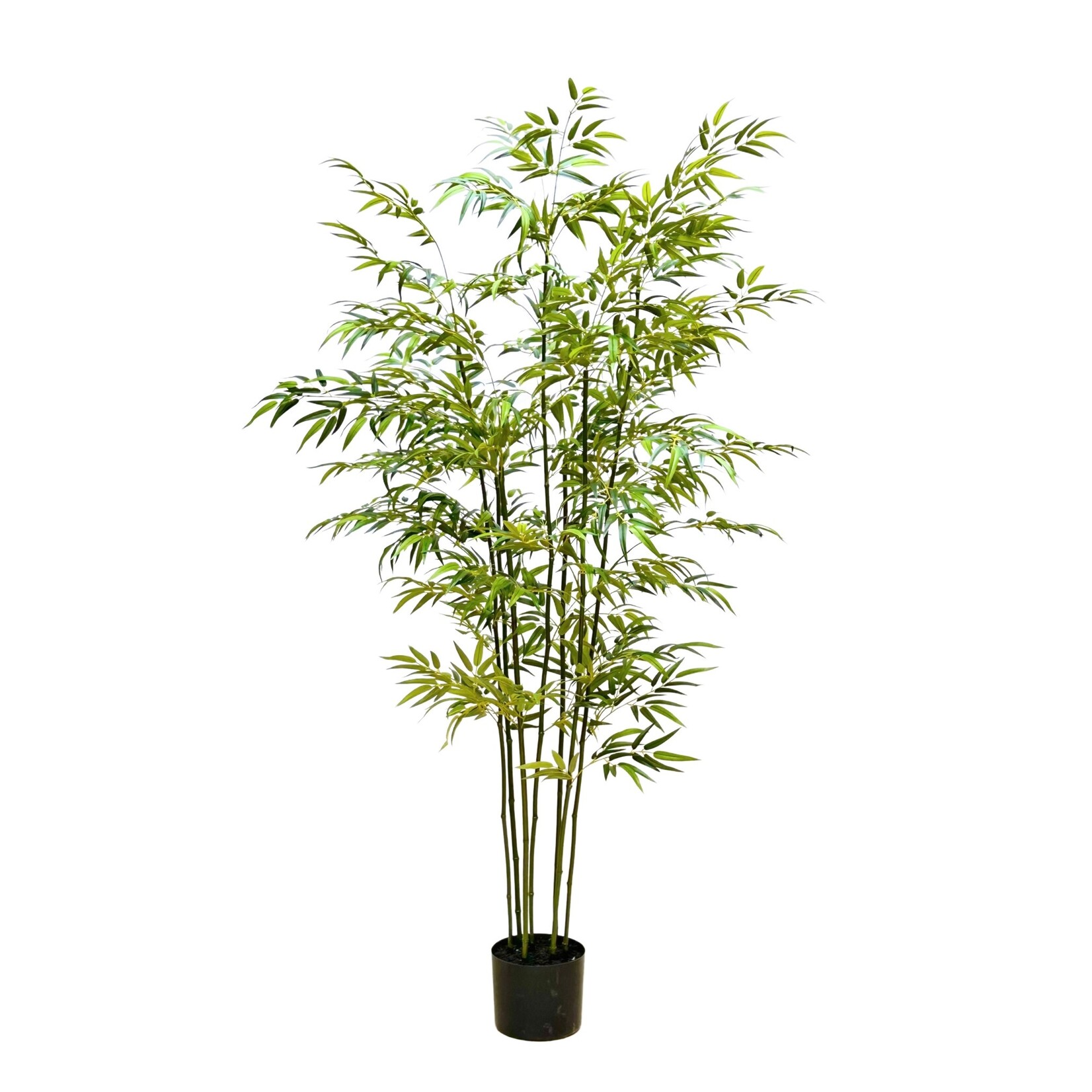 7' BAMBOO TREE GREEN