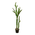 CSC360-GN: 57.5" CACTUS IN PLASTIC NURSERY POT GREEN
