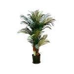 CTP971-GN: 4' PHOENIX PALM TREE IN ROUND POT GREEN