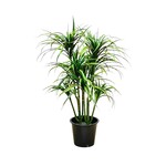 PLT396-GN/RE: 42" DRACENA PLANT IN POT GREEN RED