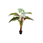 PLT538-GN: 58" PHILO RED PRINCE IN POT GREEN