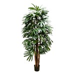CTR135-GN/TT: 5' RHAPIS TREE IN POT GREEN TWO TONE