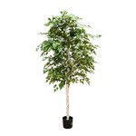 CTB158-GN: 7' BIRCH TREE IN POT GREEN