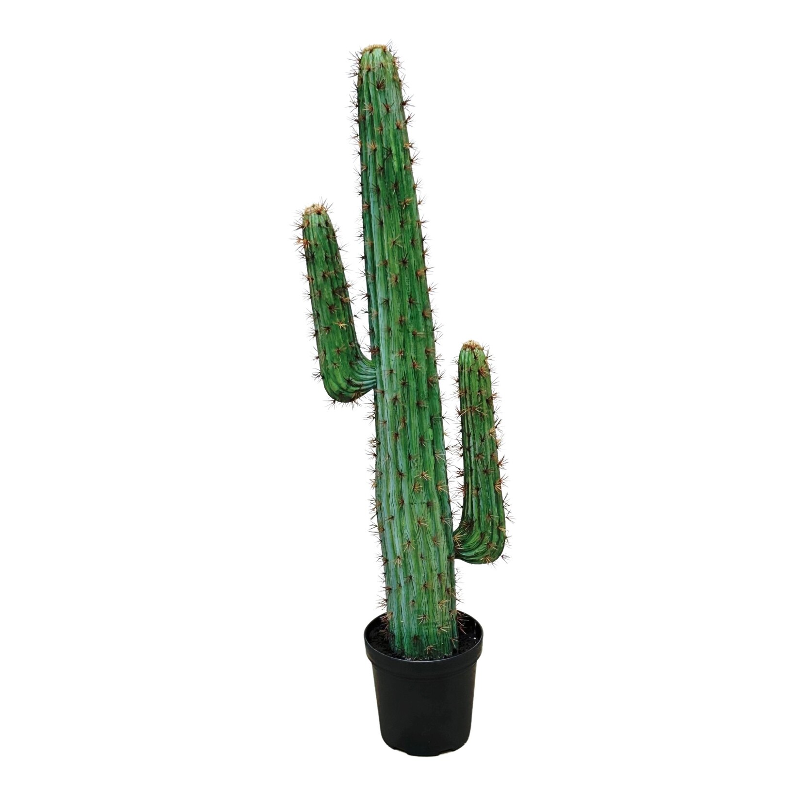 49" CACTUS POT GREEN