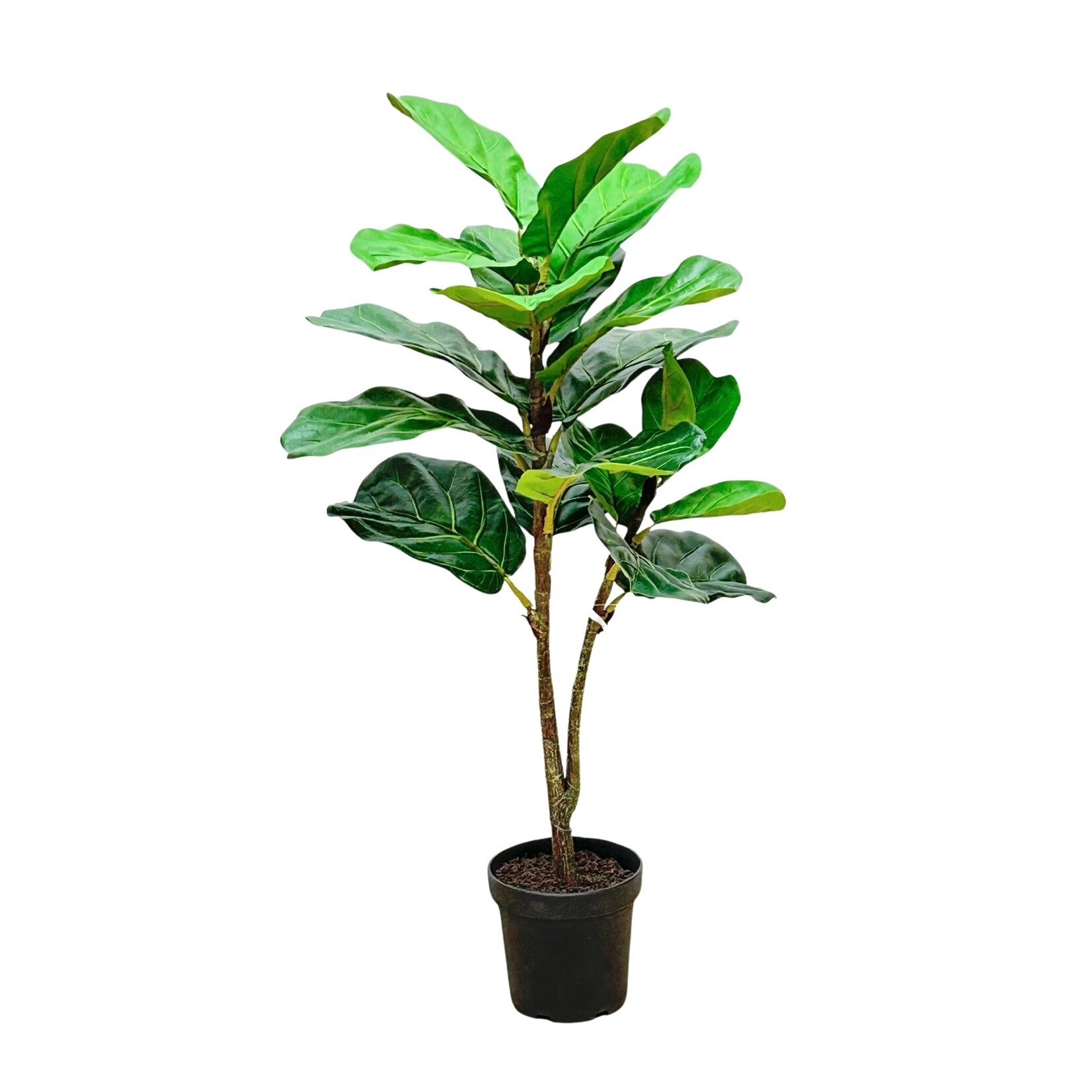 40" FIDDLE LEAF POT GREEN