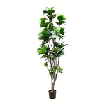 CTF076-GN: 6' FIDDLE LEAF TREE IN POT GREEN