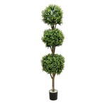 CBT726-GN/TT: 6.5' TRI BALL BOXWOOD TOPIARY IN POT GREEN