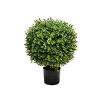 CBT464-GN: 23.5"H BALL BOXWOOD TOPIARY IN POT GREEN