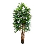 CTR246-GN: 6' RHAPIS TREE GREEN