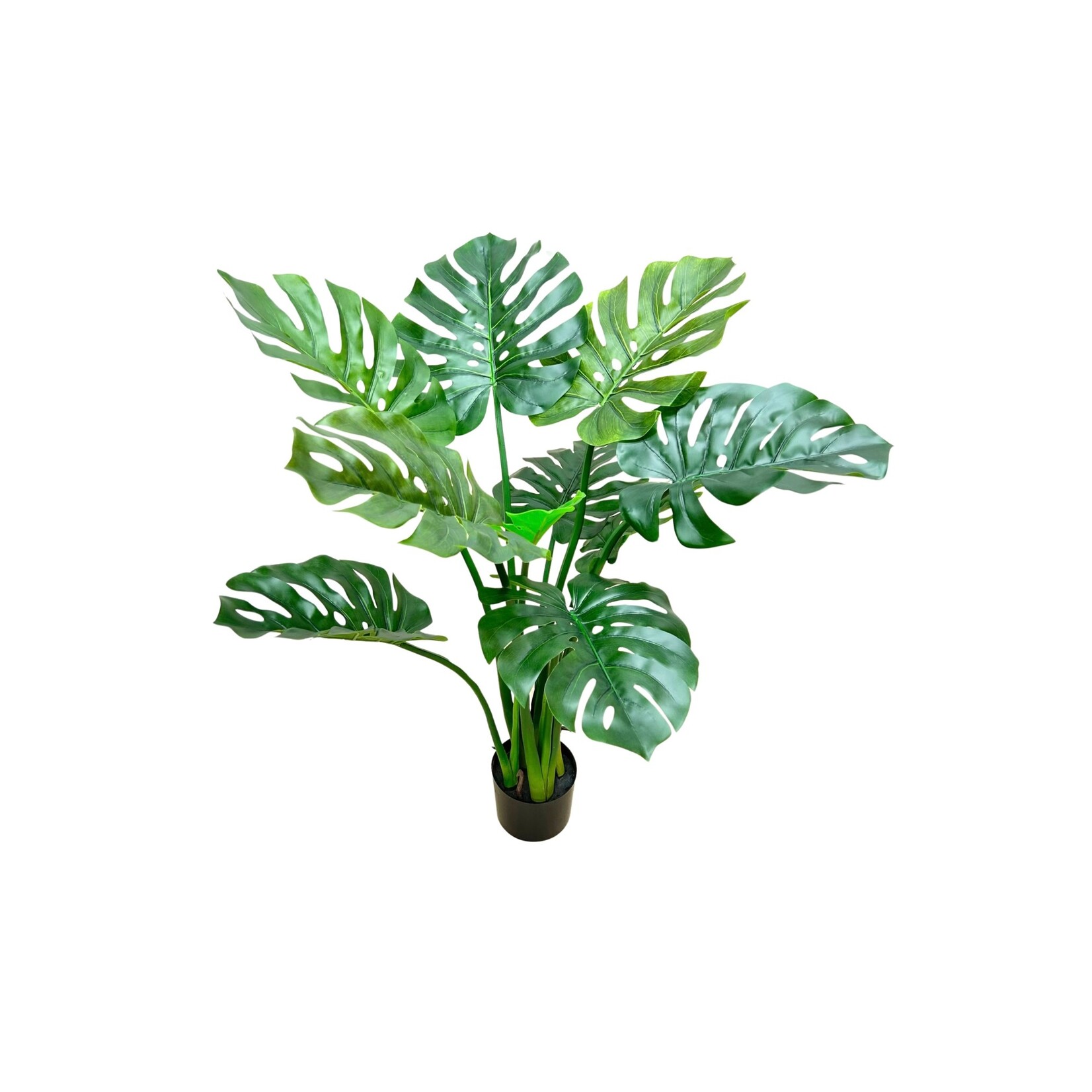 39" SPLIT PHILO PLANT GREEN TWO TONE