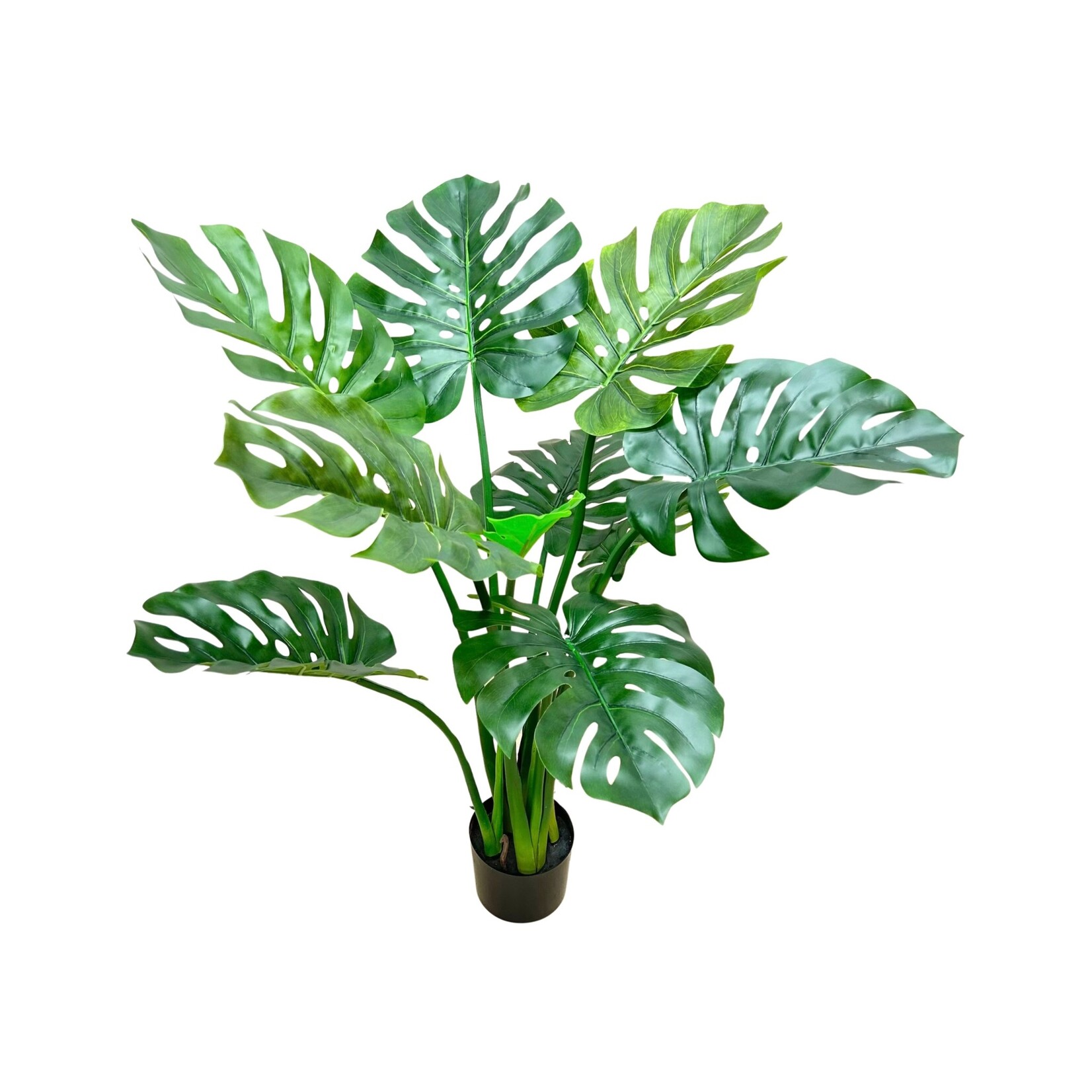 39" SPLIT PHILO PLANT GREEN TWO TONE