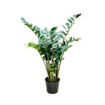PLT101-GN: 4' ZAMIOCULCAS ZAMIIFOLIA PLANT IN PLASTIC POT GREEN