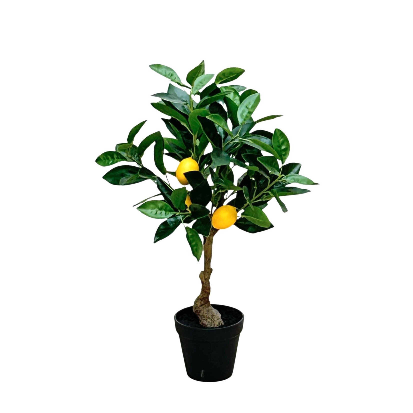 23.5" LEMON TREE IN POT YELLOW GREEN
