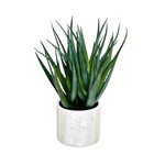 PLT807-GN: 21" ALOE PLANT IN CEMENT POT GREEN
