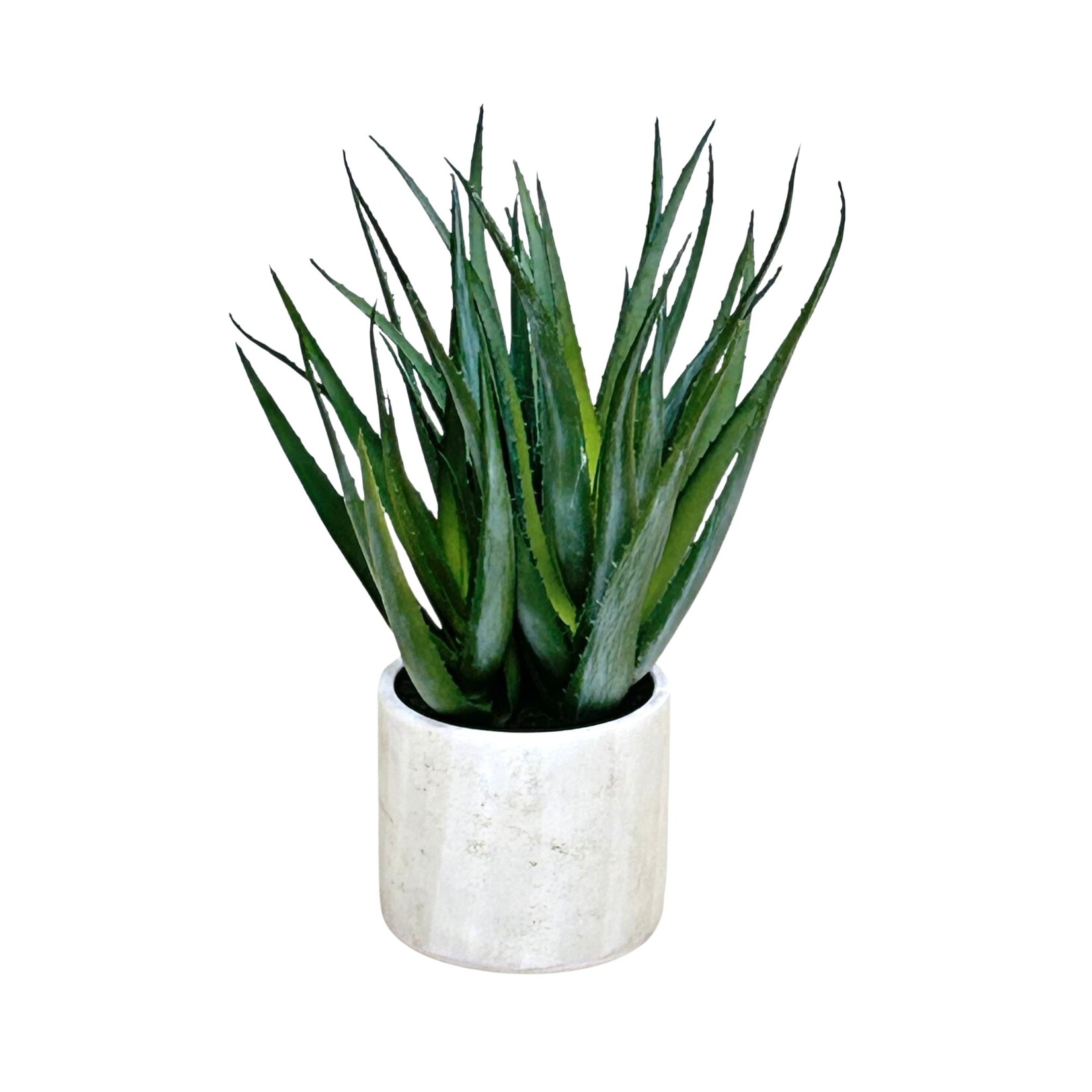 21" ALOE PLANT IN CEMENT POT GREEN