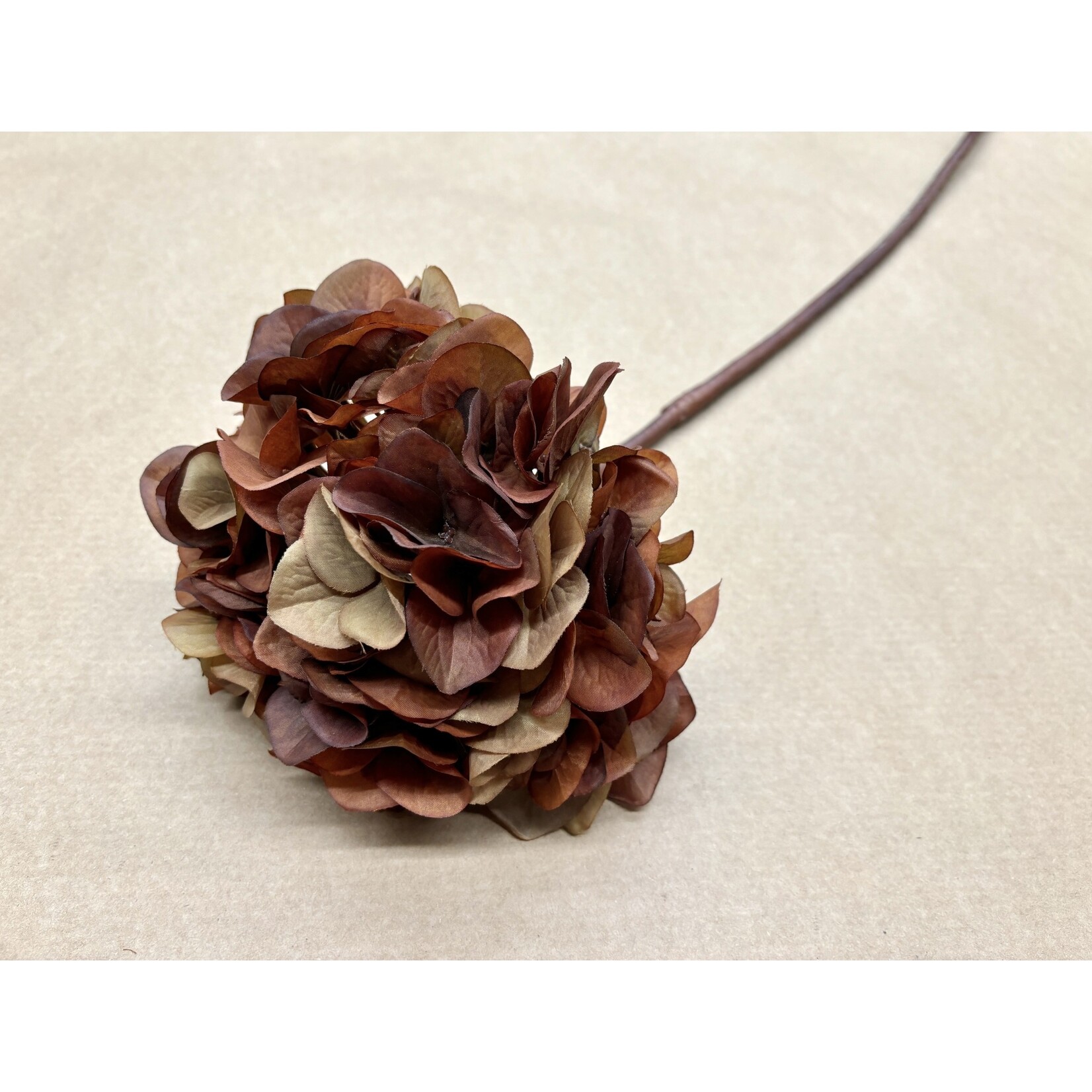 30" HYDRANGEA SPRAY COFFEE