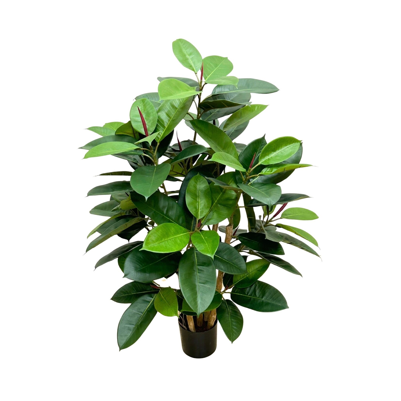 39" RUBBER LEAF PLANT IN POT GREEN