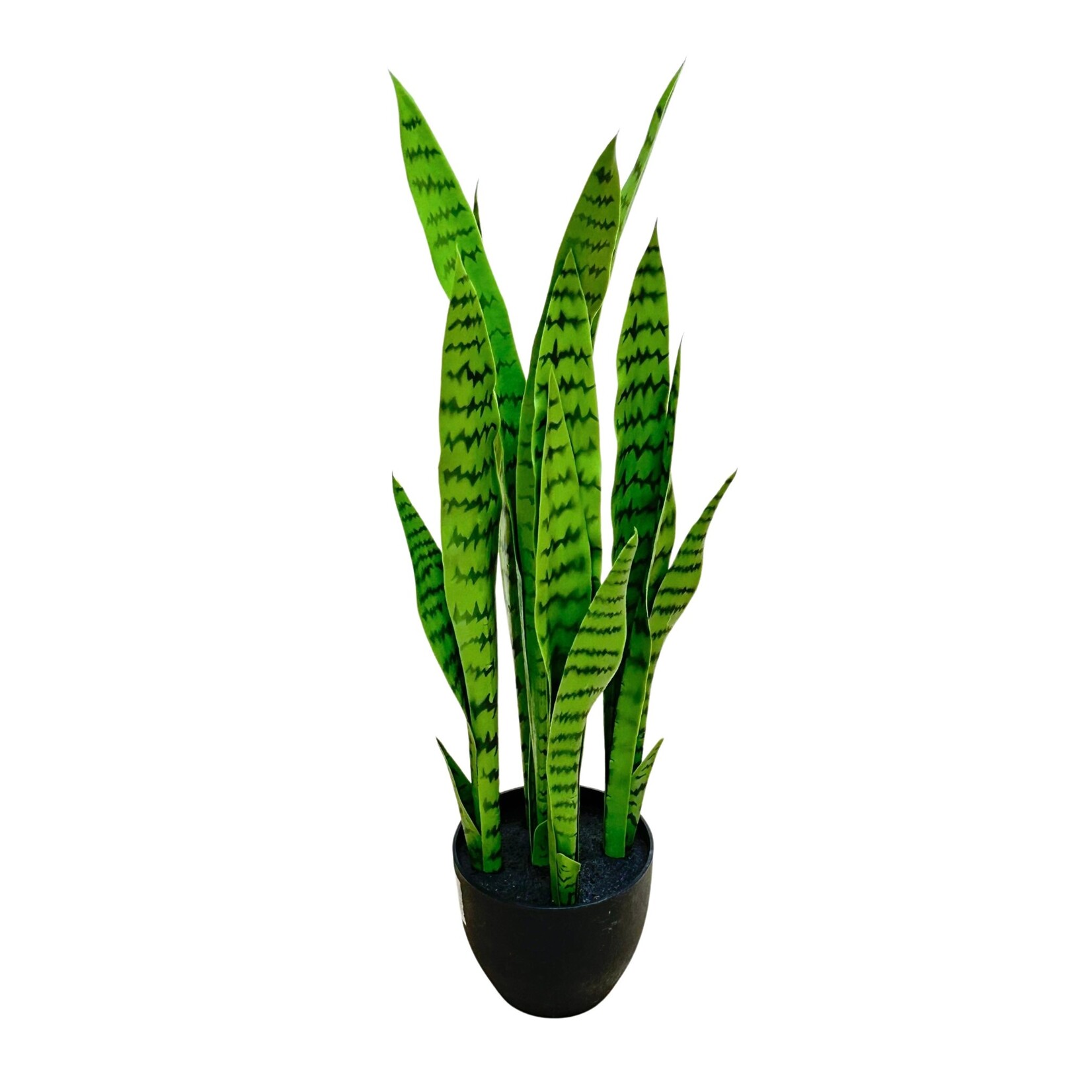 33" SANSEVIERIA PLANT IN POT GREEN