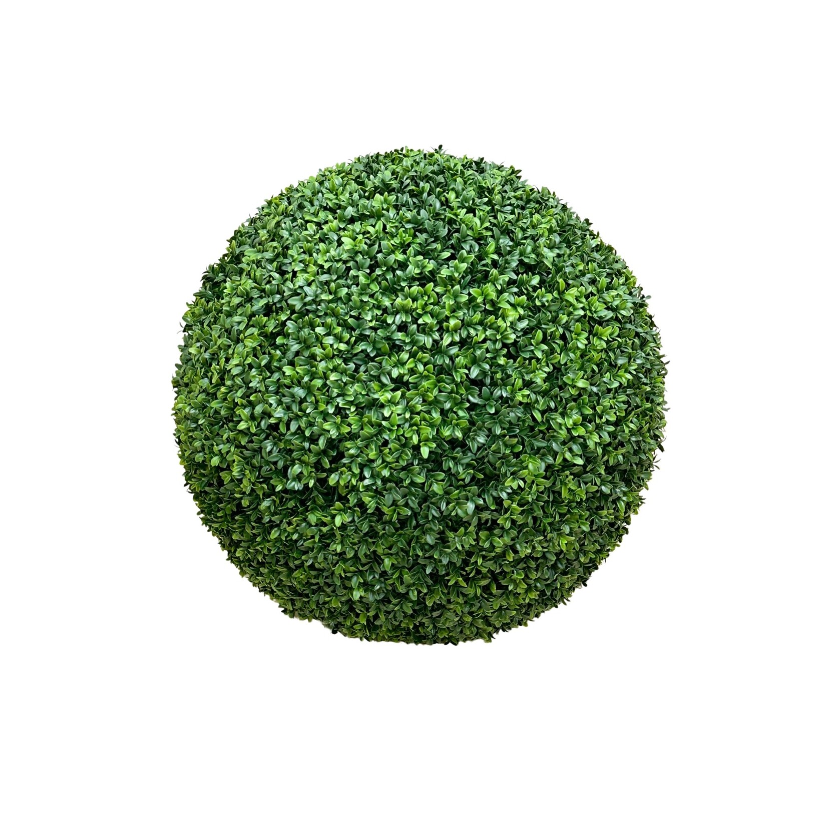 26" BOXWOOD BALL GREEN