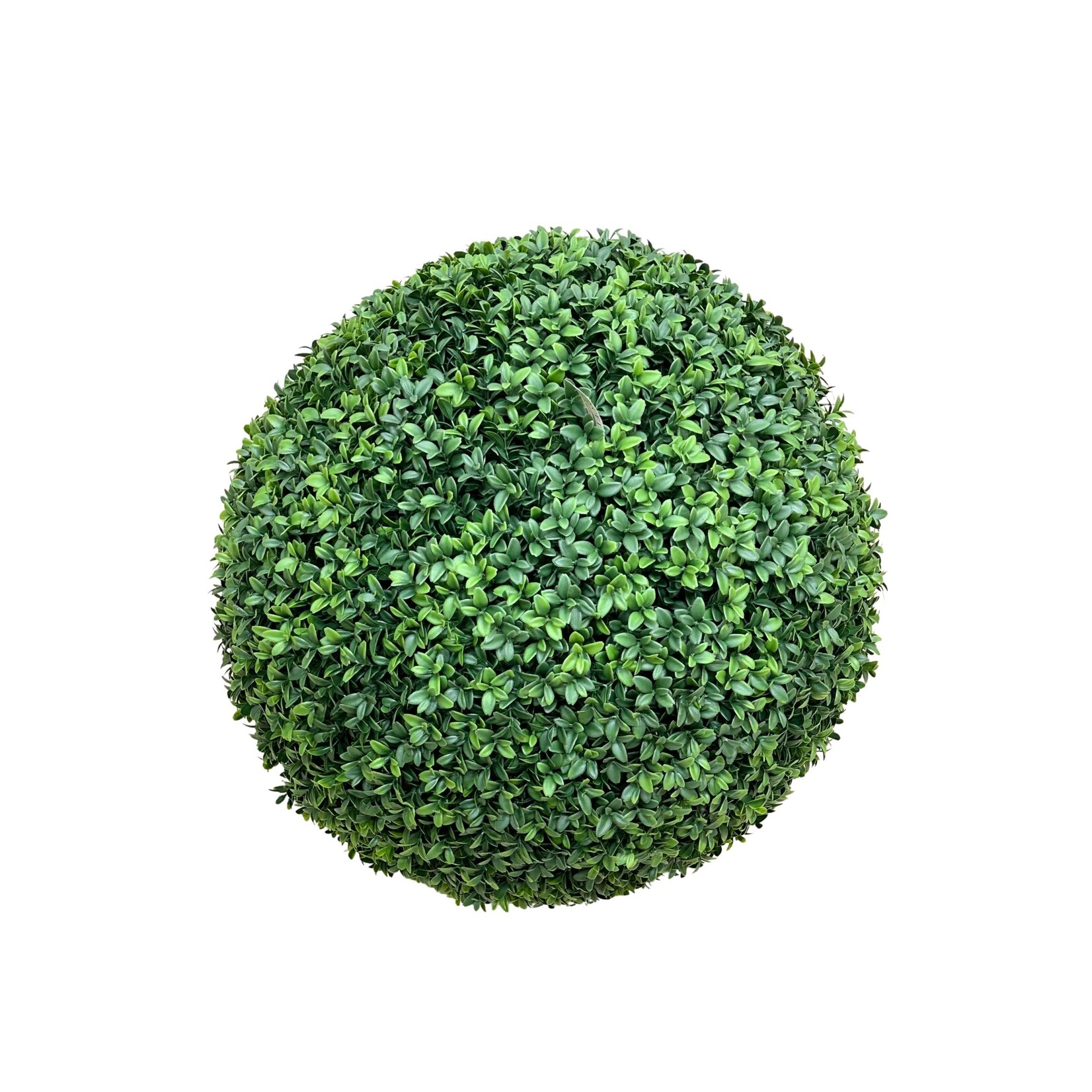 21" BOXWOOD BALL GREEN