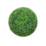 CBB641-GN: 24" BOXWOOD BALL GREEN