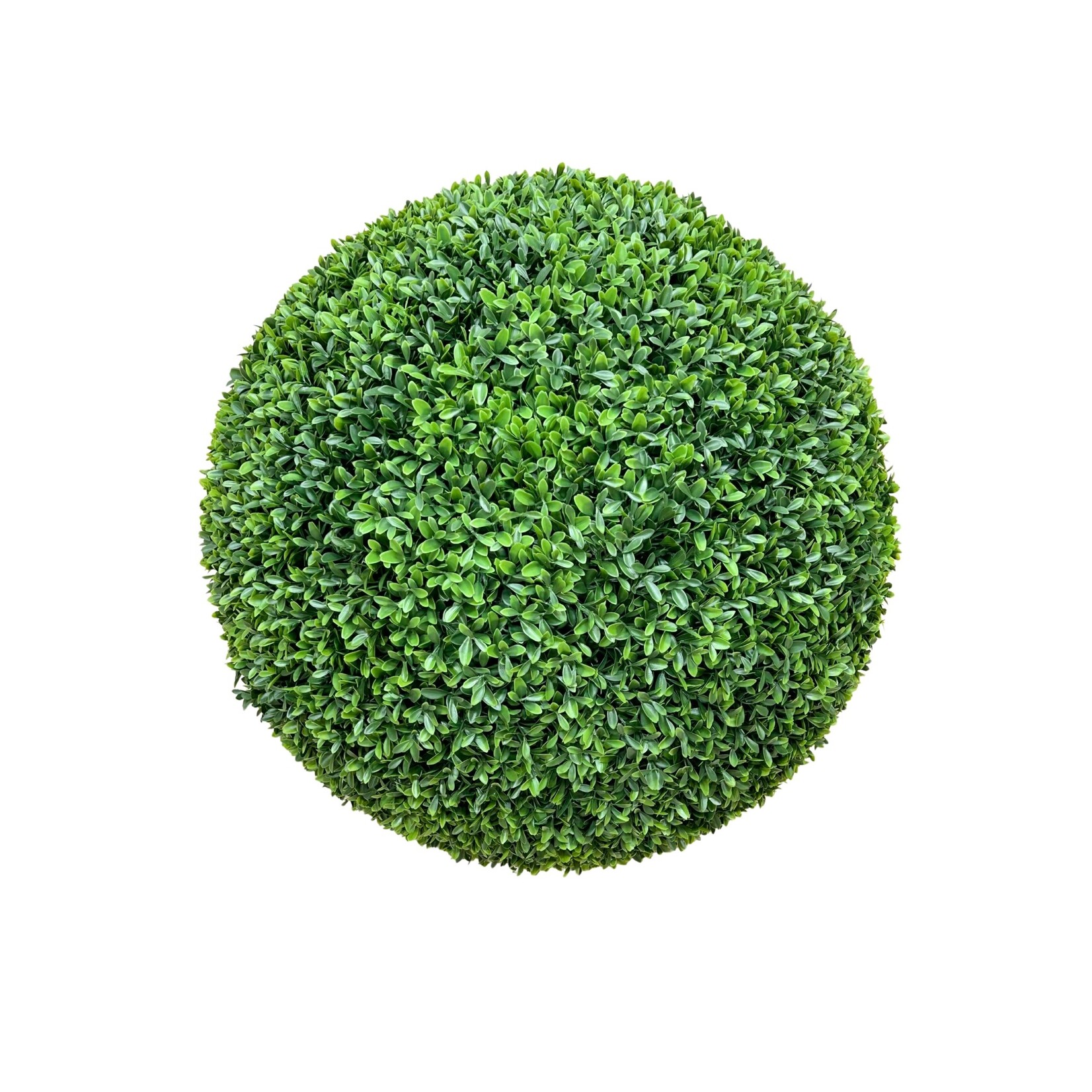 24" BOXWOOD BALL GREEN