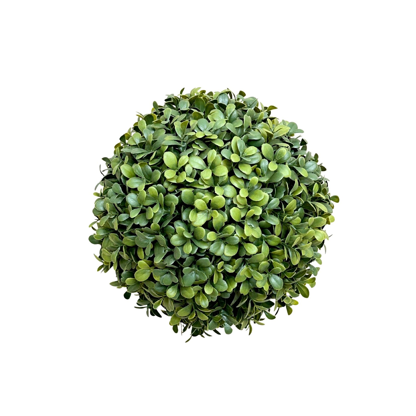 9" BOXWOOD BALL GREEN