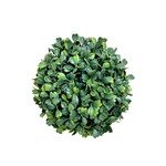 CBB619-GN: 6" BOXWOOD BALL