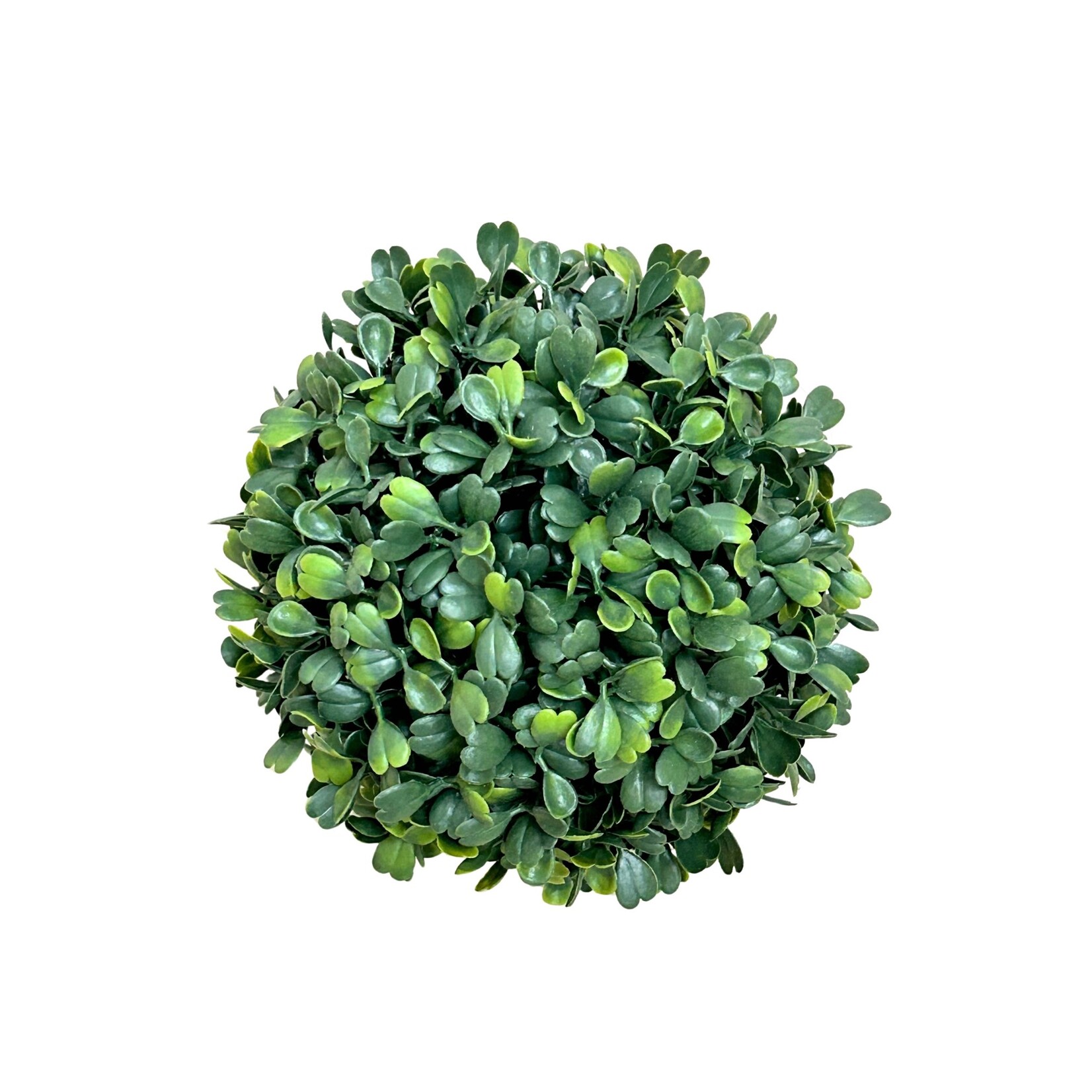 6" BOXWOOD BALL