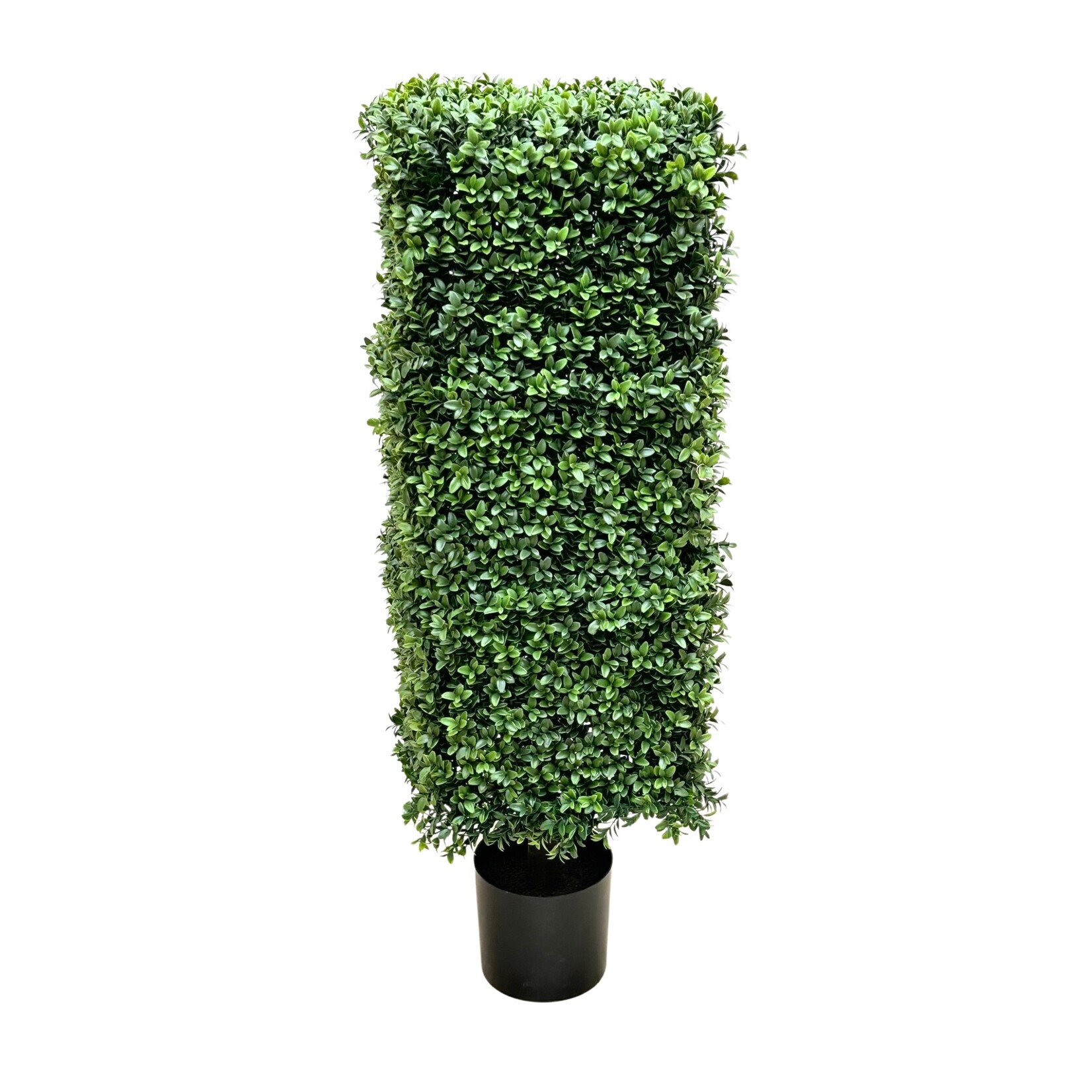 41'' BOXWOOD SQUARE COLUMN TOPIARY GREEN