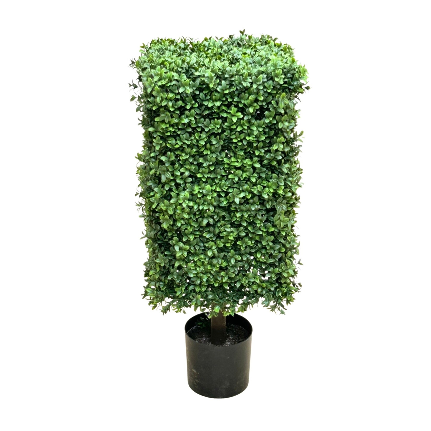 32'' BOXWOOD SQUARE COLUMN TOPIARY GREEN