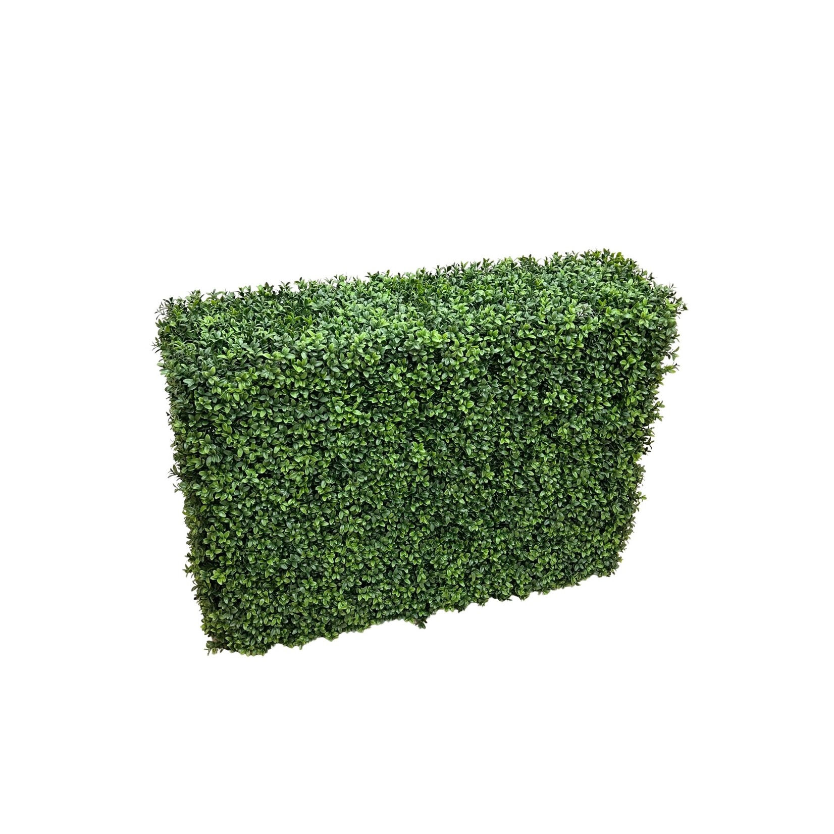 40”LX30”HX12”W BOXWOOD FENCE GREEN