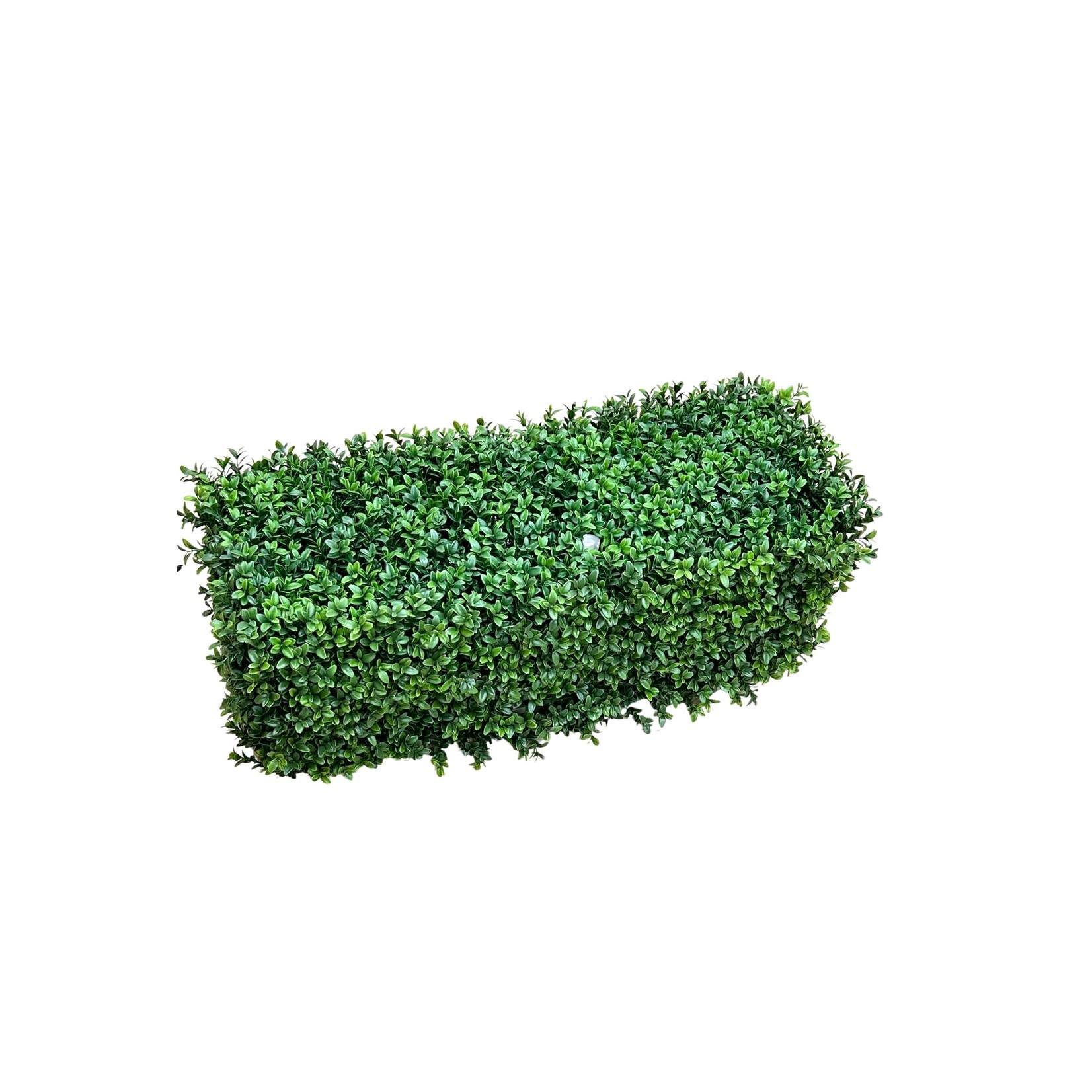 30X12X12'' BOXWOOD FENCE GREEN