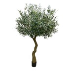 CTO178-GN/BK: 7' OLIVE TREE GREEN BLACK