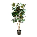 PLT405-5.5: 5.5' POTTED RUBBER LEAF PLANT
