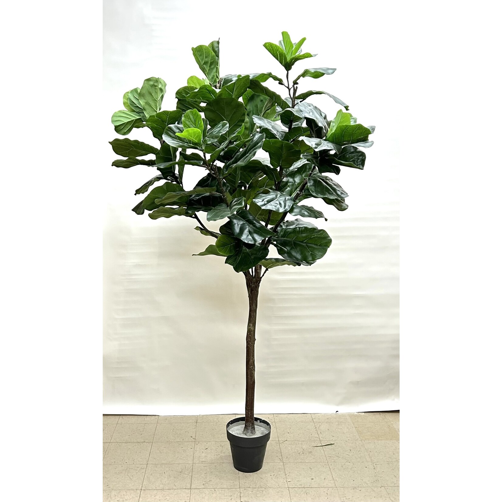9' FIDDLE TREE GREEN