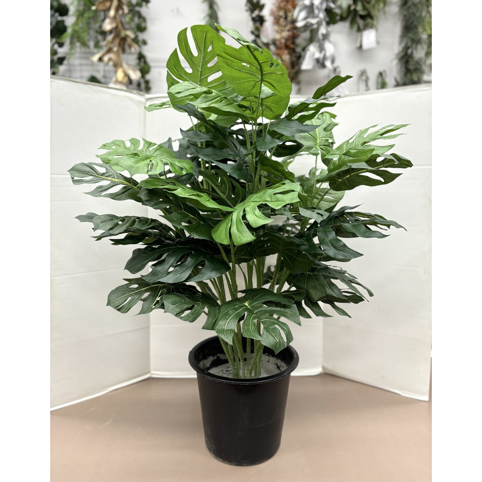 36" SPLIT PHILO PLANT IN POT GREEN (MADE TO ORDER)