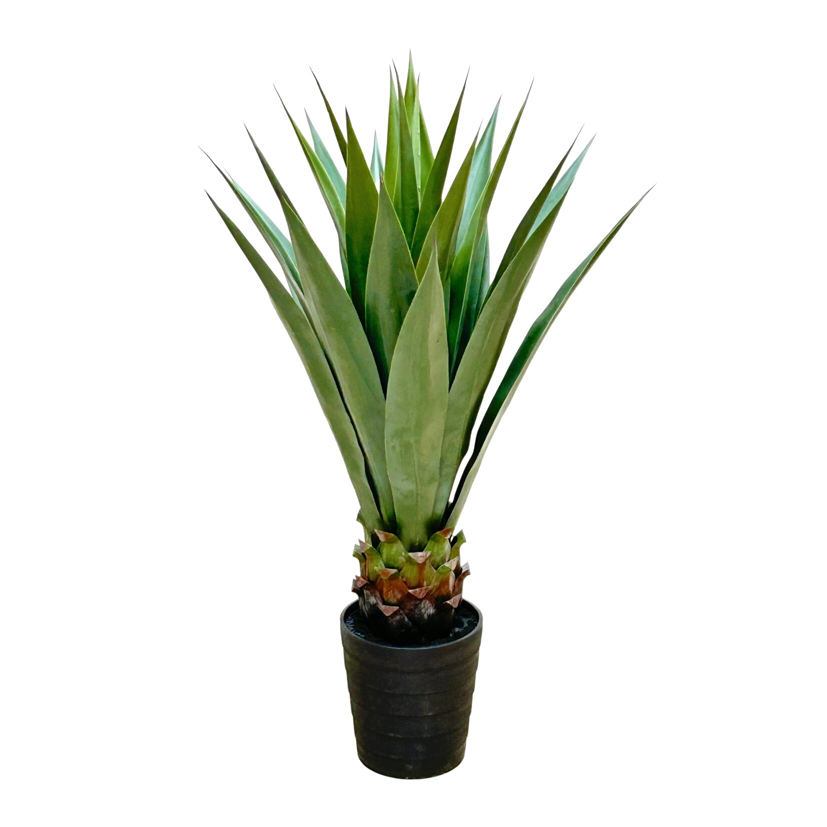 41" SISAL PLANT IN POT GREEN