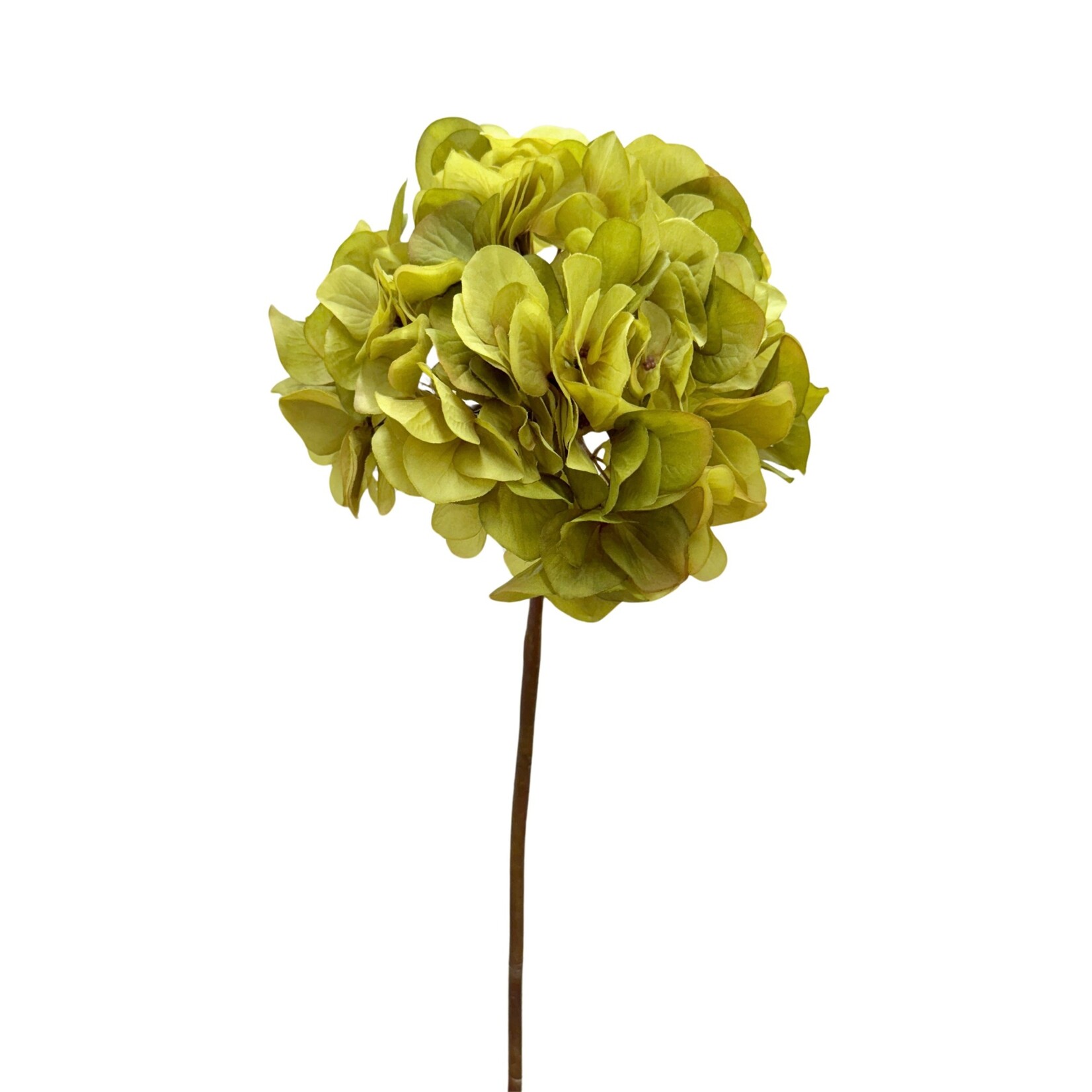 30" HYDRANGEA SPRAY OLIVE GREEN