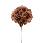 CFH224-CF: 30" HYDRANGEA SPRAY COFFEE