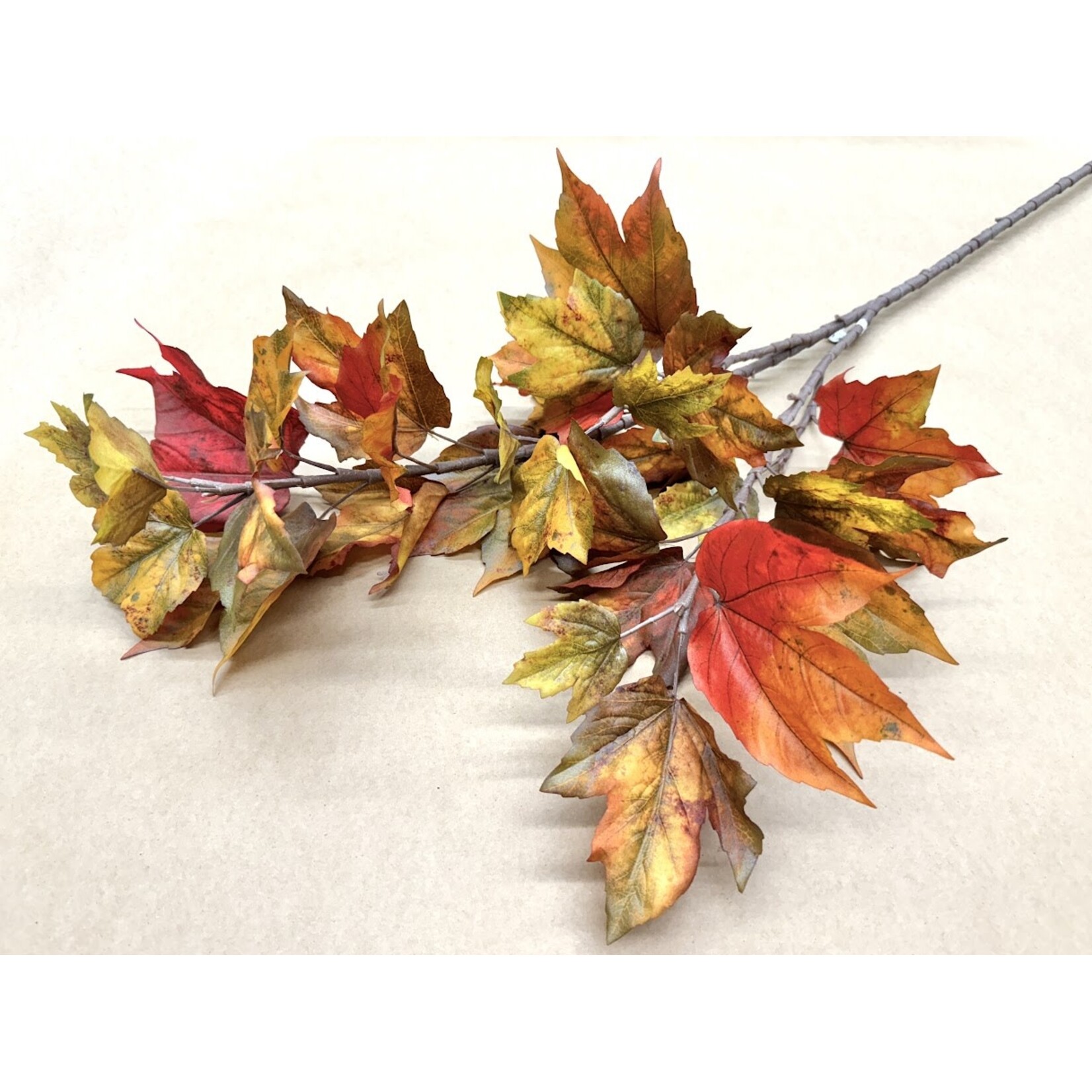 50"  MAPLE  LEAF ORANGE